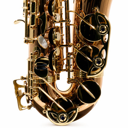 Yanagisawa AWO20 'Elite' Professional Alto Saxophone in Solid Bronze SN 00422413