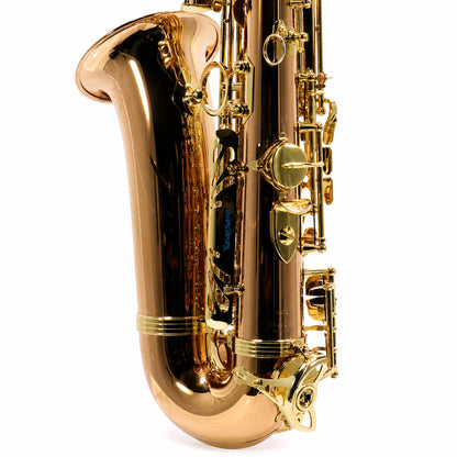 Yanagisawa AWO20 'Elite' Professional Alto Saxophone in Solid Bronze SN 00422413