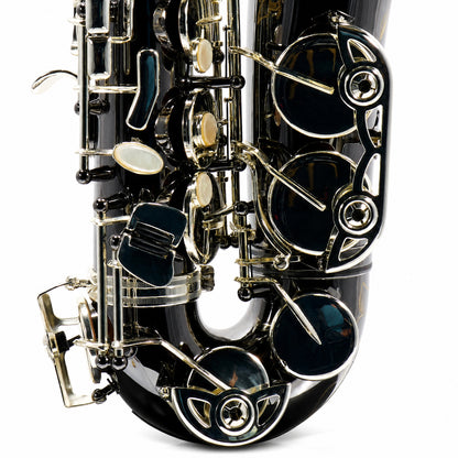 Selmer SAS711B Professional Eb Alto Saxophone in Black Nickel