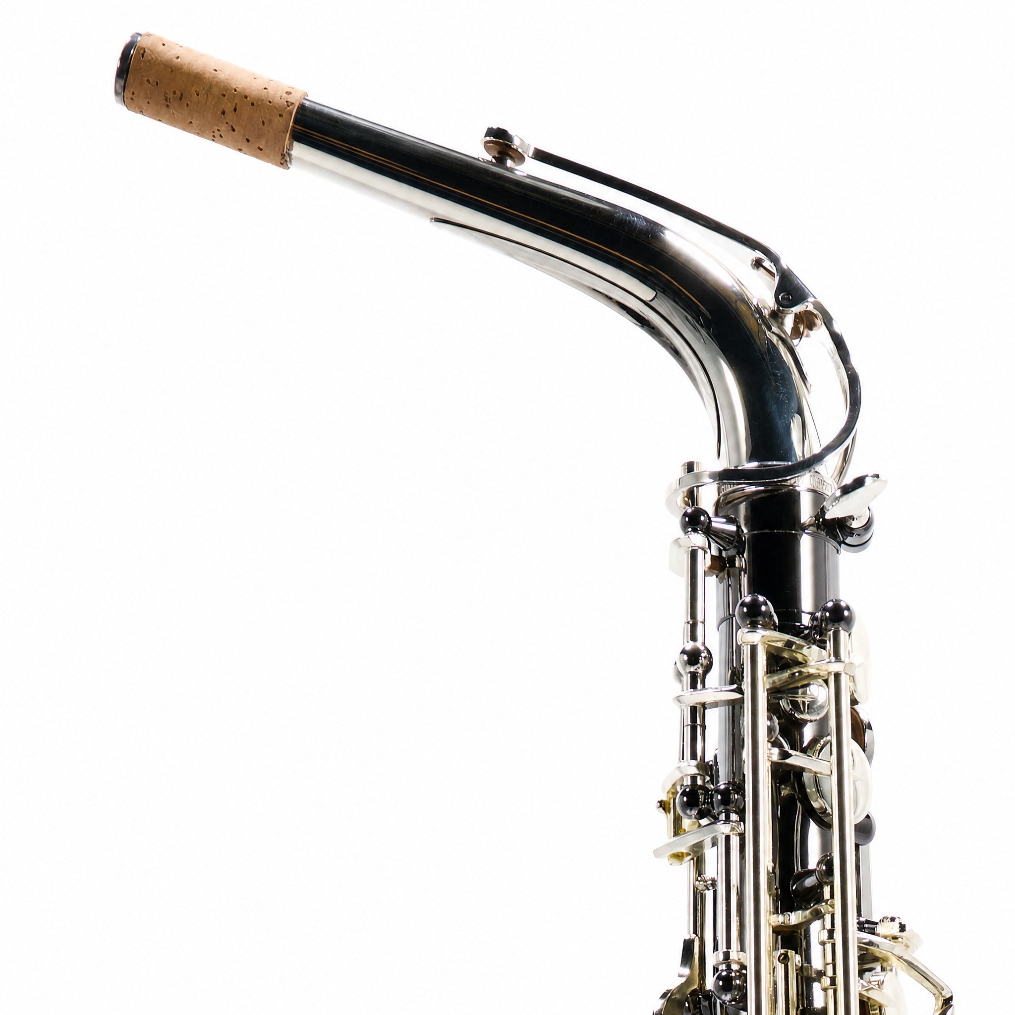 Selmer SAS711B Professional Alto Saxophone in Black Nickel