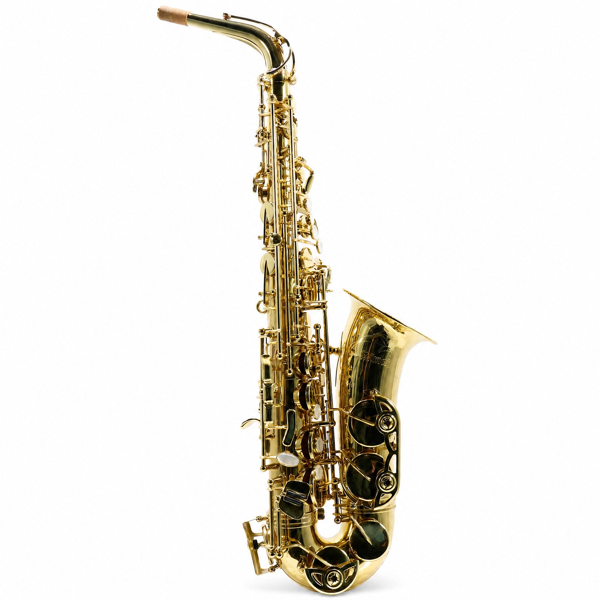 Selmer SAS711 Professional Eb Alto Saxophone in Gold Lacquer