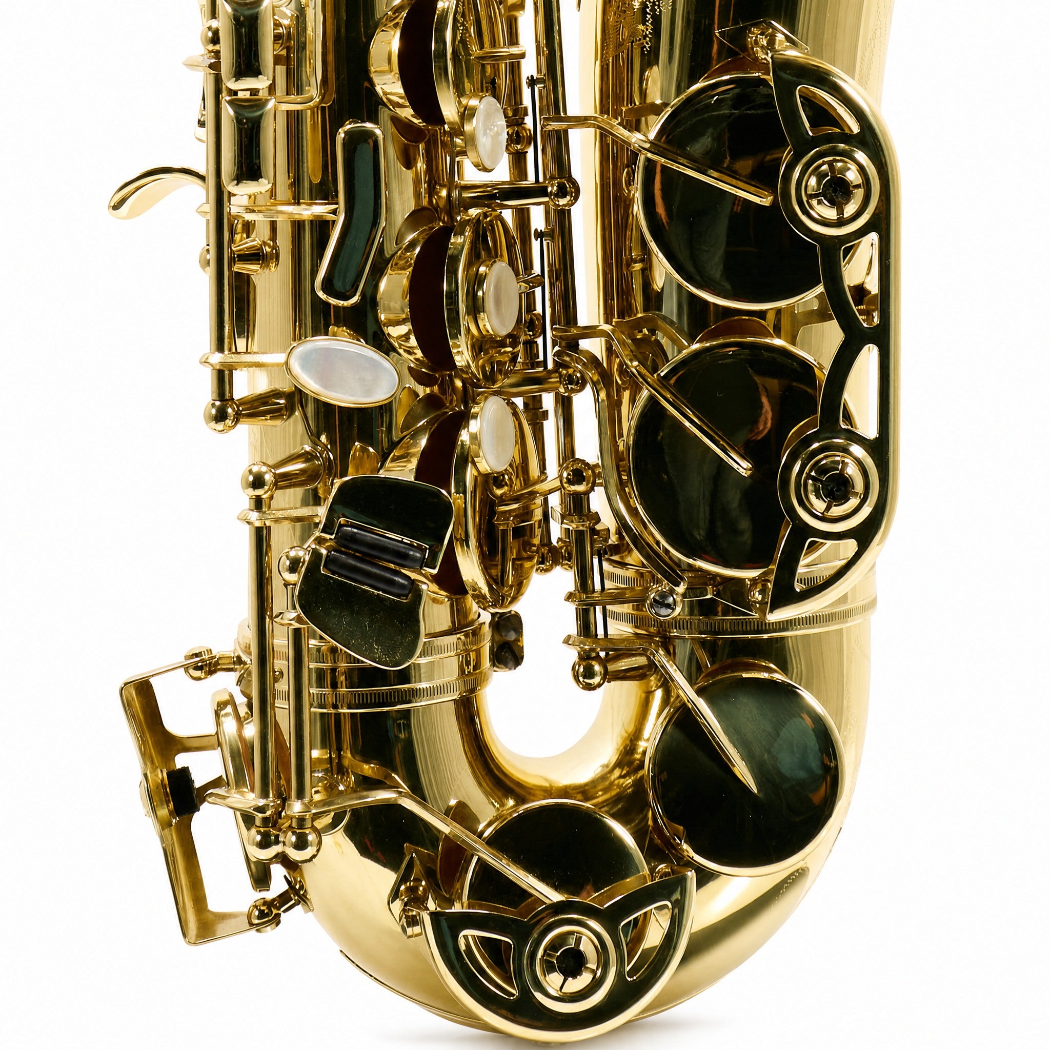 Selmer SAS711 Professional Eb Alto Saxophone in Gold Lacquer