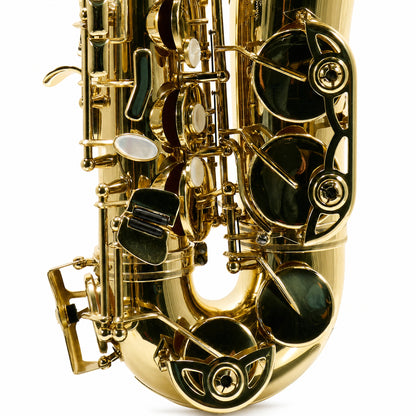 Selmer SAS711 Professional Eb Alto Saxophone in Gold Lacquer