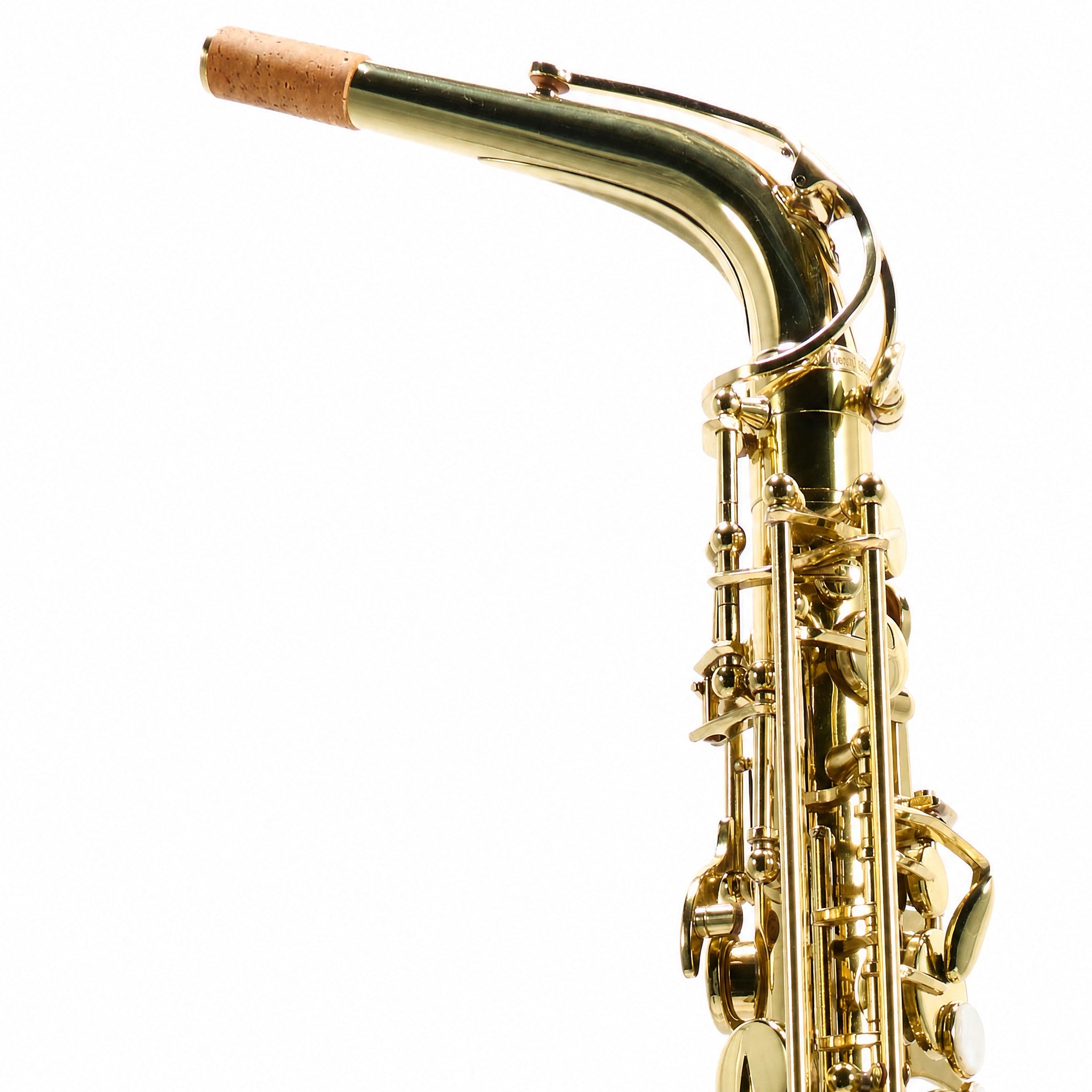 Selmer SAS711 Professional Eb Alto Saxophone in Gold Lacquer