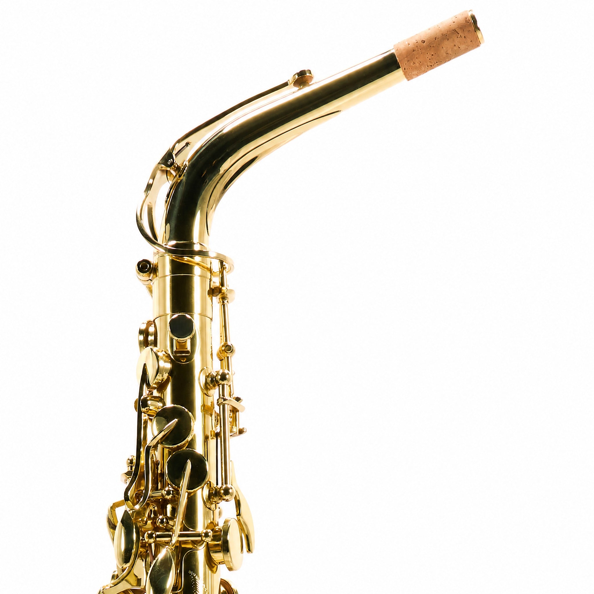 Selmer SAS711 Professional Eb Alto Saxophone in Gold Lacquer