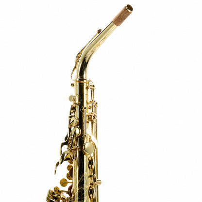 Selmer SAS711 Professional Eb Alto Saxophone in Gold Lacquer