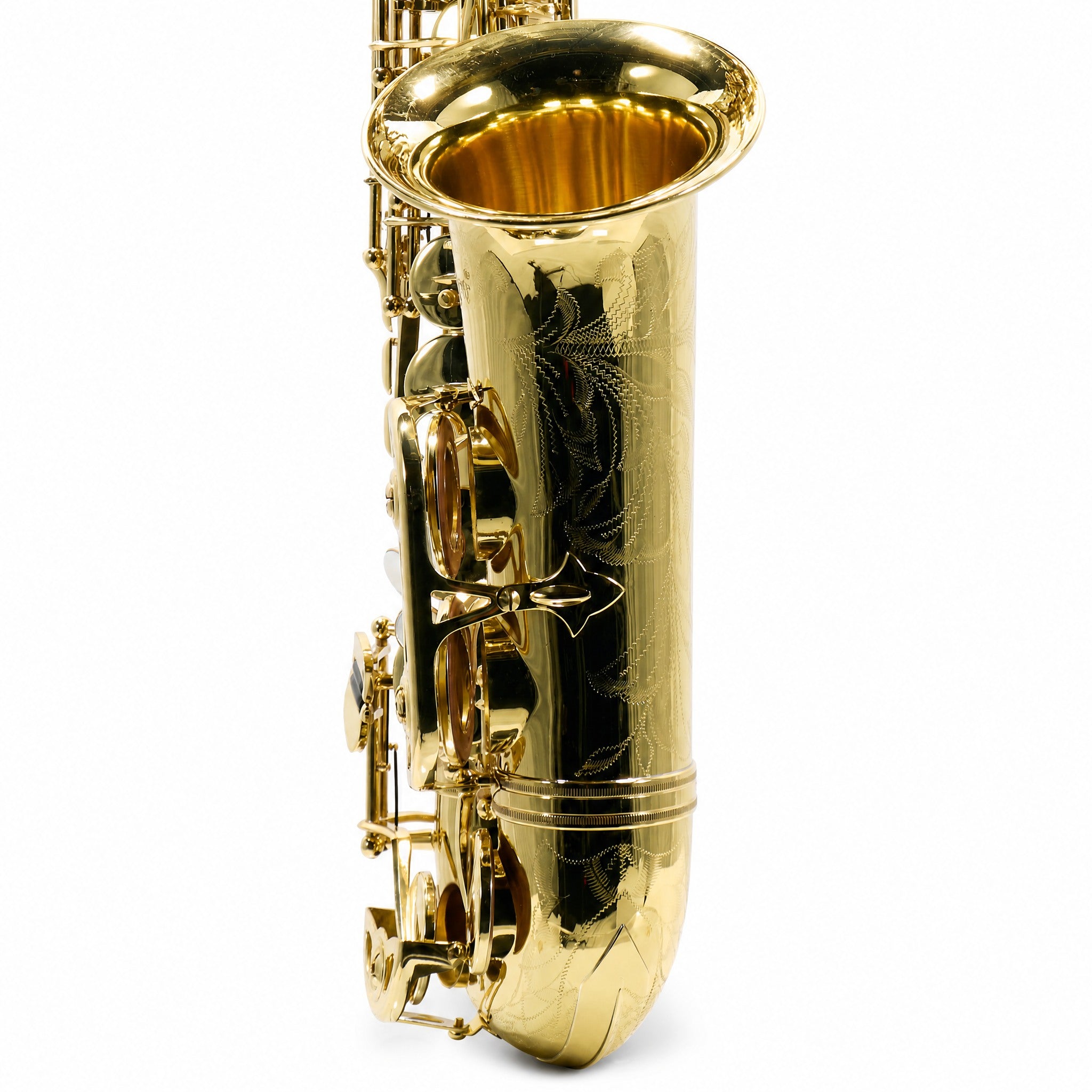 Selmer SAS711 Professional Eb Alto Saxophone in Gold Lacquer