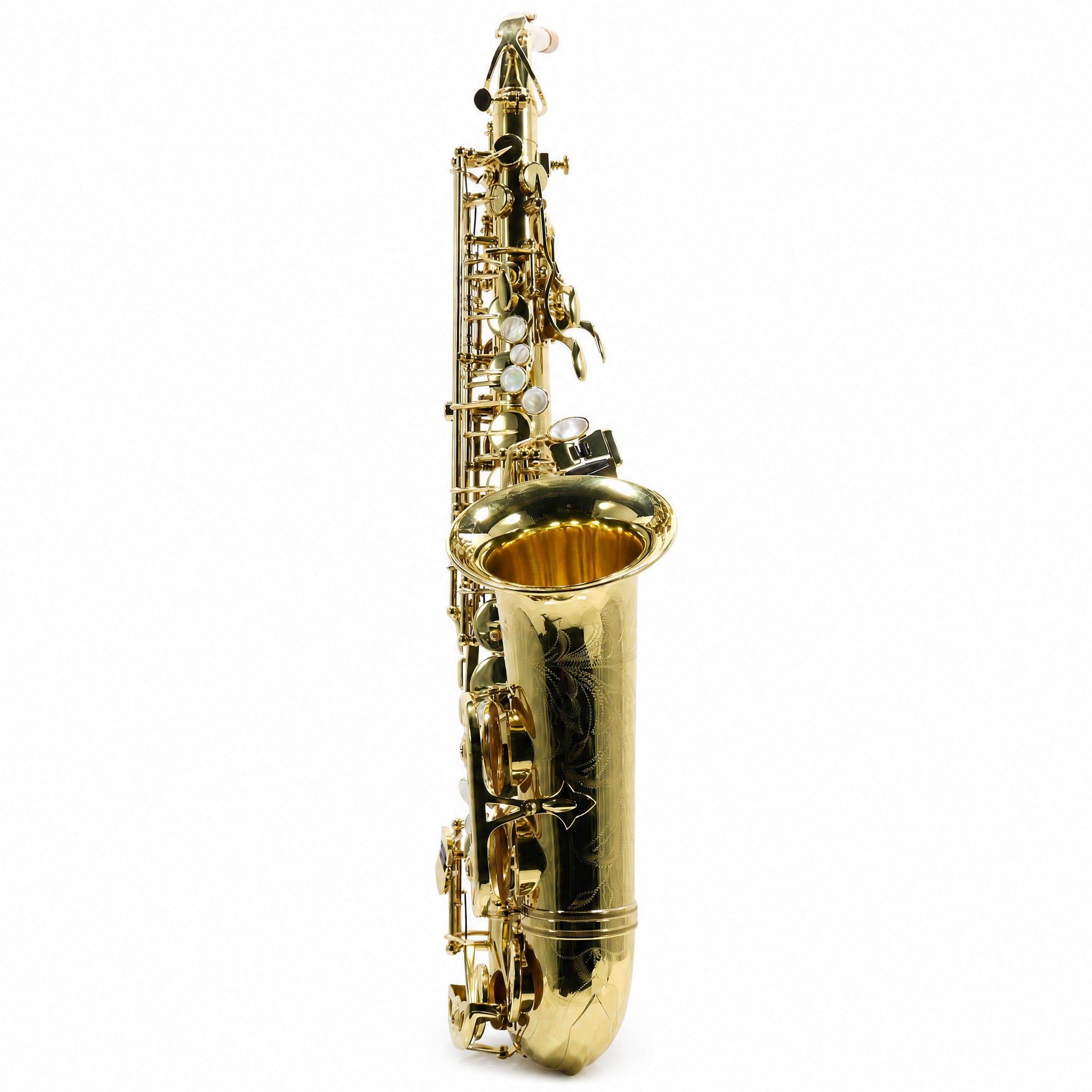 Selmer SAS711 Professional Eb Alto Saxophone in Gold Lacquer