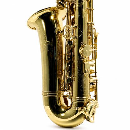Selmer SAS711 Professional Eb Alto Saxophone in Gold Lacquer
