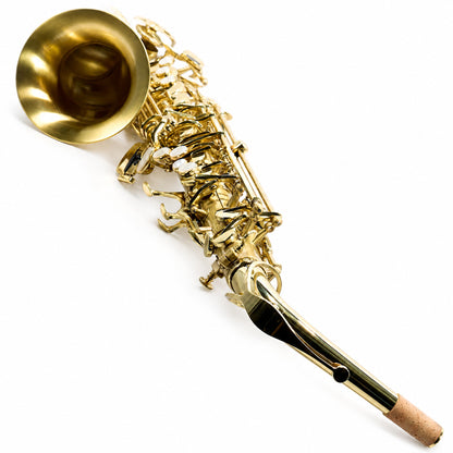 Selmer SAS711M Professional Eb Alto Saxophone in Matte Lacquer