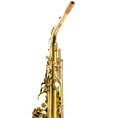 Selmer SAS711M Professional Eb Alto Saxophone in Matte Lacquer