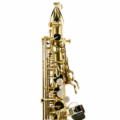 Selmer SAS711M Professional Eb Alto Saxophone in Matte Lacquer