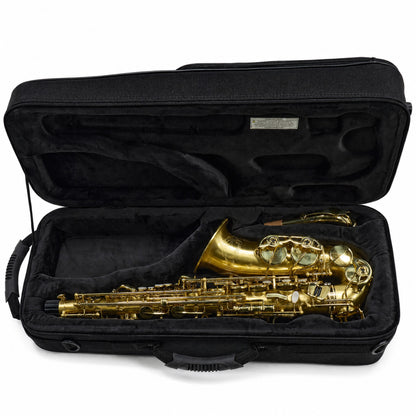 Selmer SAS711M Professional Eb Alto Saxophone in Matte Lacquer