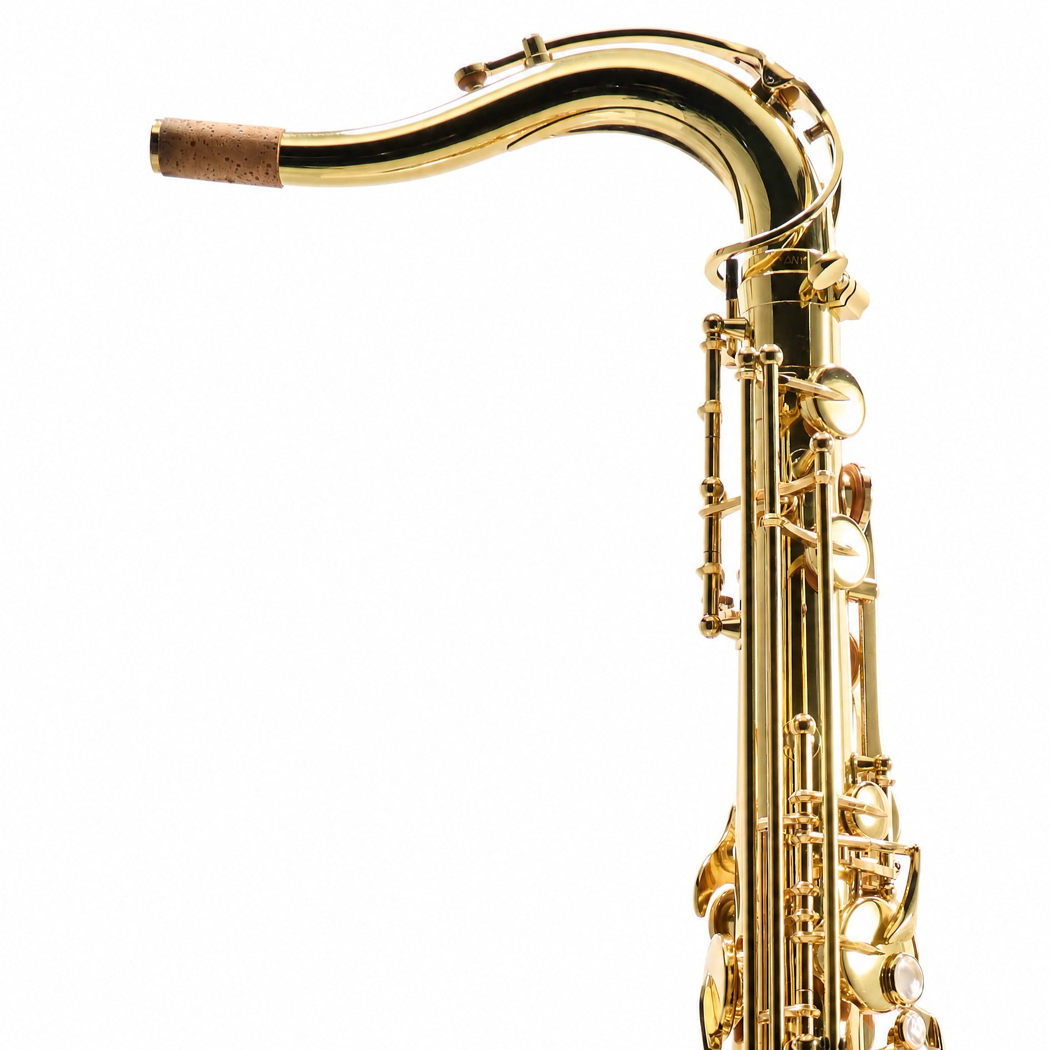 Yanagisawa TWO1 Professional Tenor Saxophone in Gold Lacquer