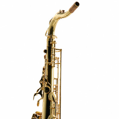 Yanagisawa TWO1 Professional Tenor Saxophone in Gold Lacquer