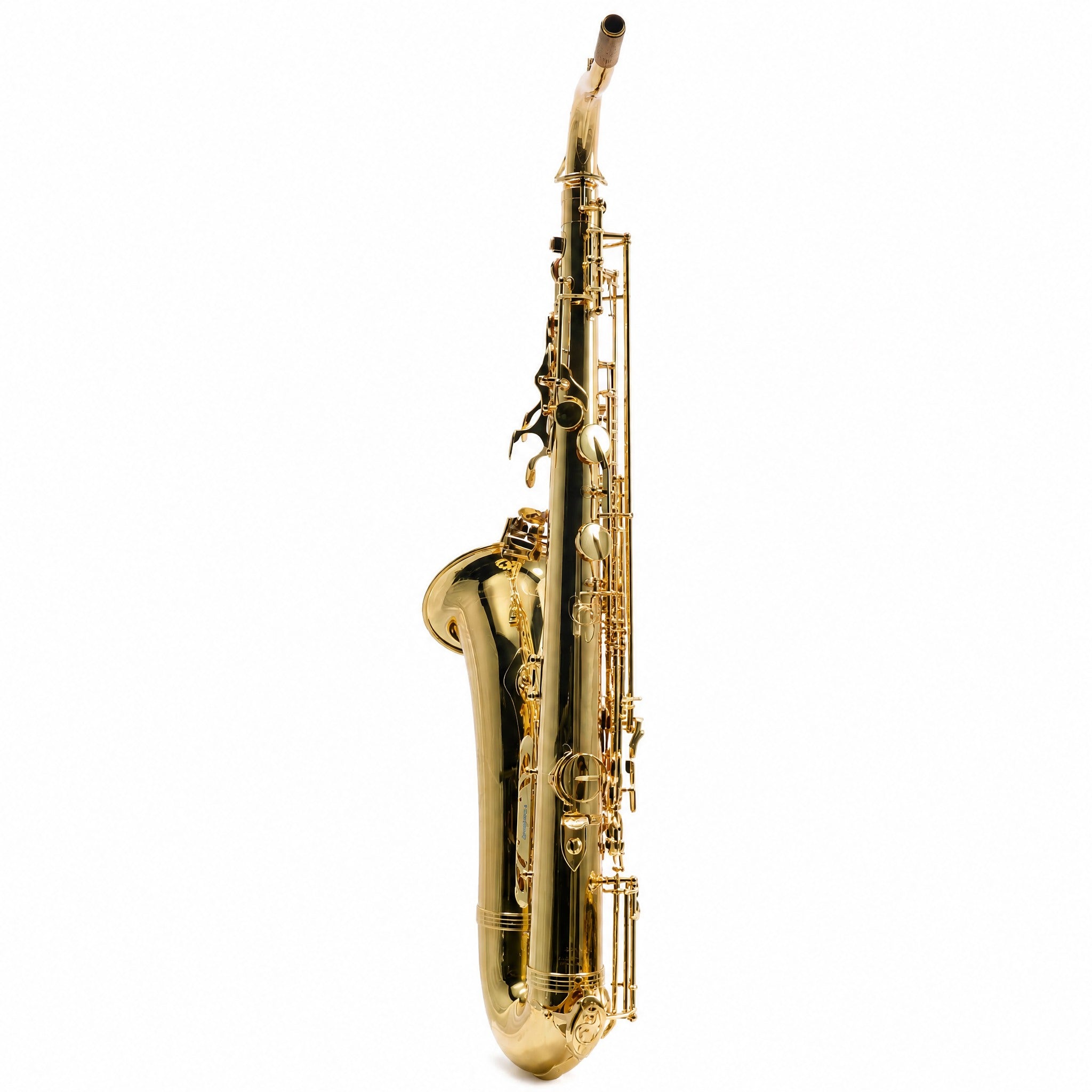 Yanagisawa TWO1 Professional Bb Tenor Saxophone in Gold Lacquer