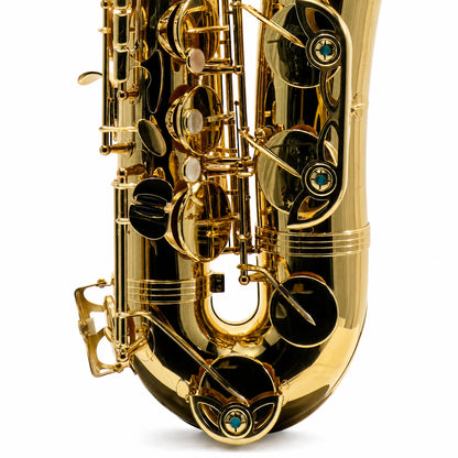 Yanagisawa TWO1 Professional Bb Tenor Saxophone in Gold Lacquer