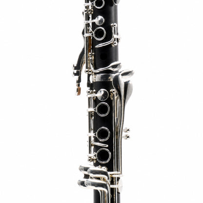 Backun BCLBPROTG-SK 'Protégé' Intermediate Bb Clarinet in Grenadilla SN PZ-10015