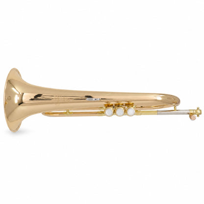 Yamaha YFH-8315IIG Custom Series Professional Bb Flugelhorn in Lacquer SN 473947