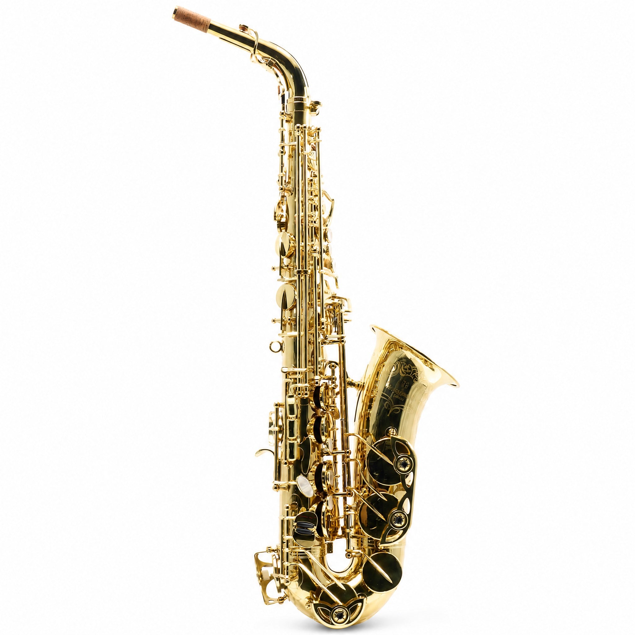 Yanagisawa AWO10 Professional Alto Saxophone in Gold Lacquer