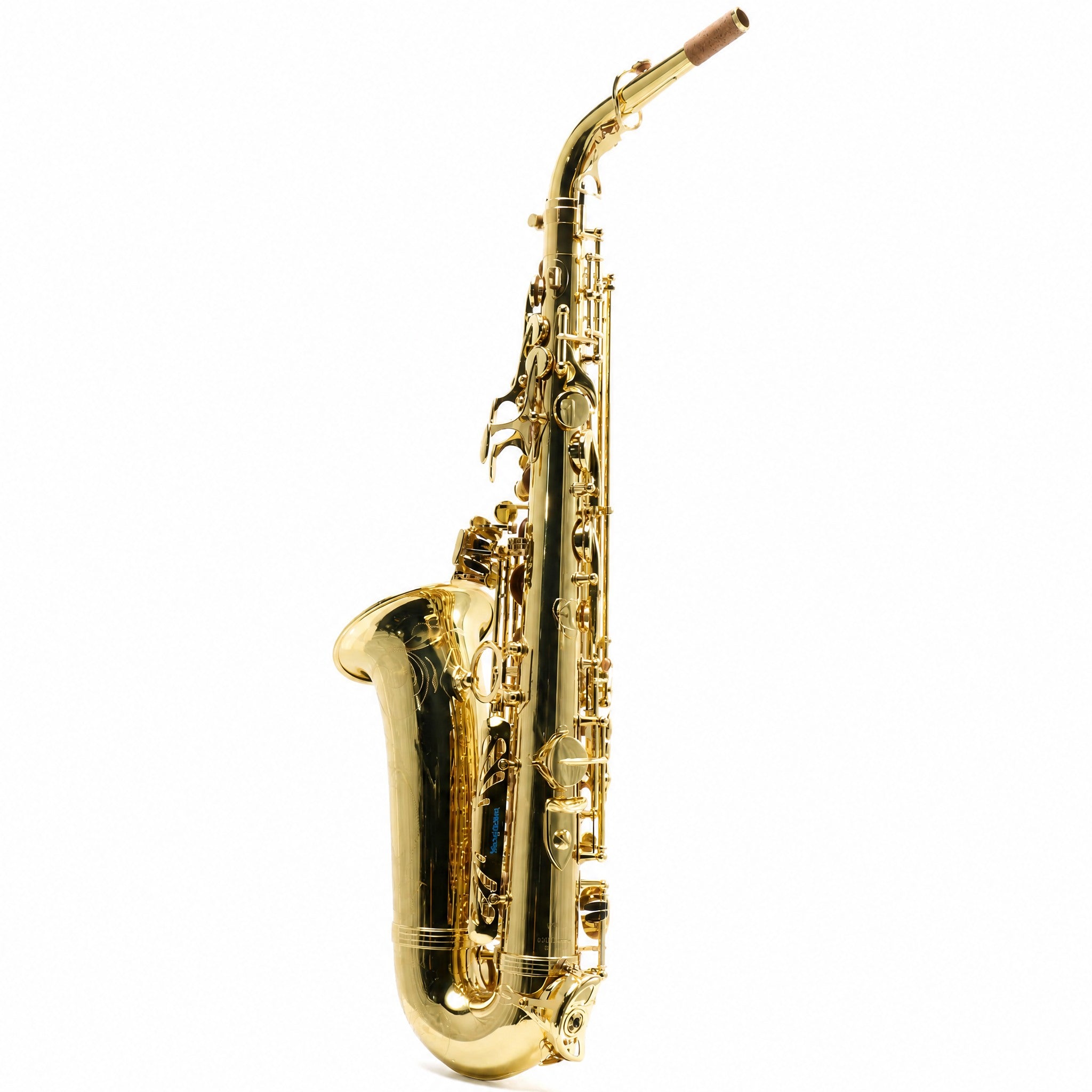 Yanagisawa AWO10 Professional Alto Saxophone in Gold Lacquer