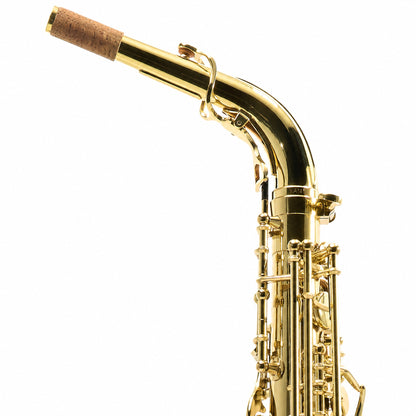 Yanagisawa AWO10 Professional Alto Saxophone in Gold Lacquer