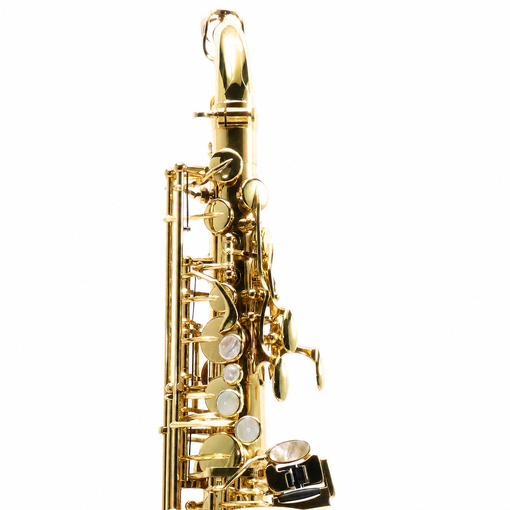 Yanagisawa AWO10 Professional Alto Saxophone in Gold Lacquer