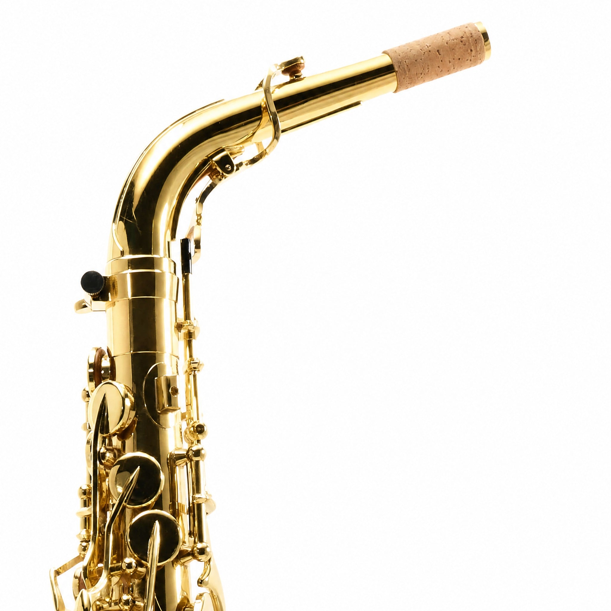 Yanagisawa AWO10 Professional Alto Saxophone in Gold Lacquer