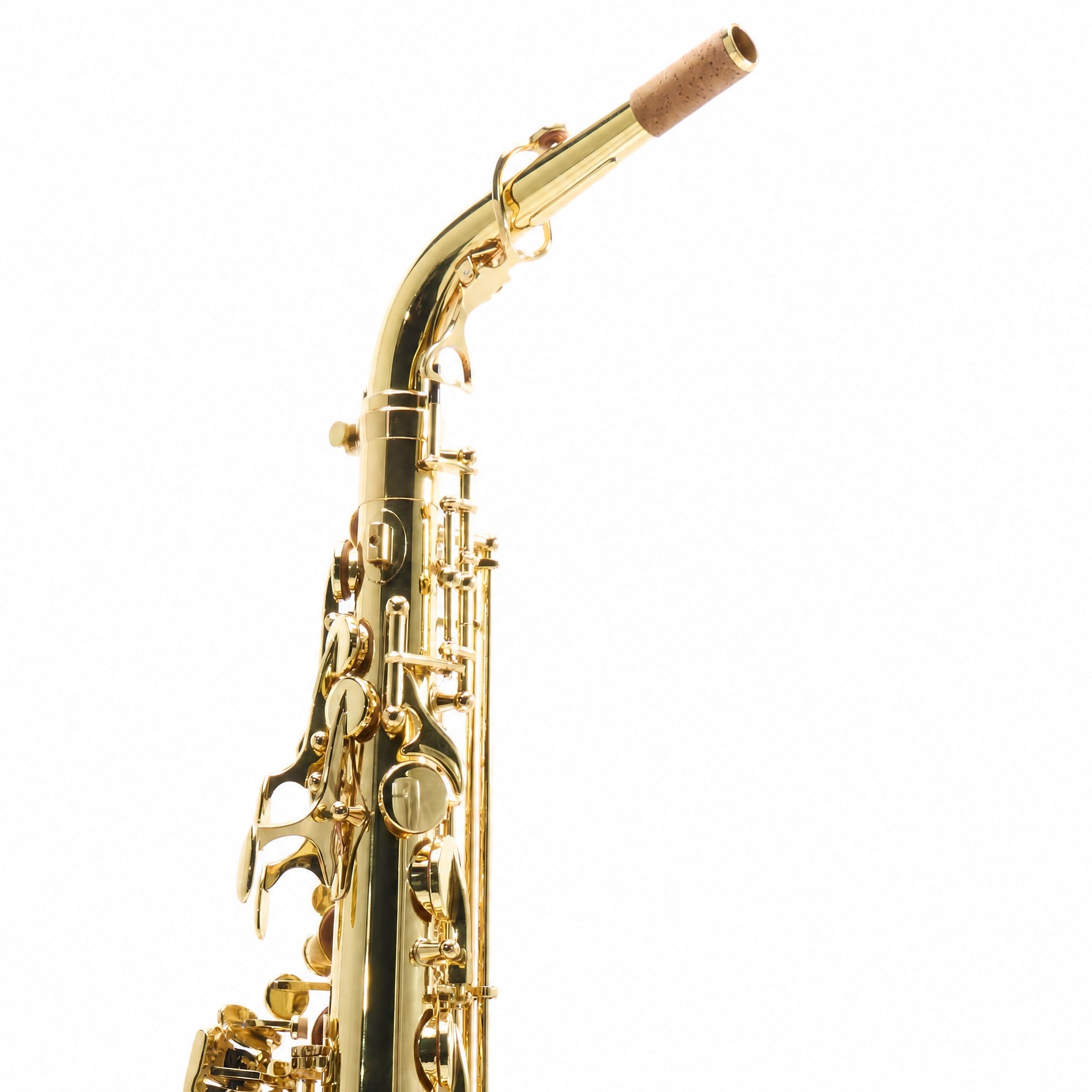 Yanagisawa AWO10 Professional Alto Saxophone in Gold Lacquer