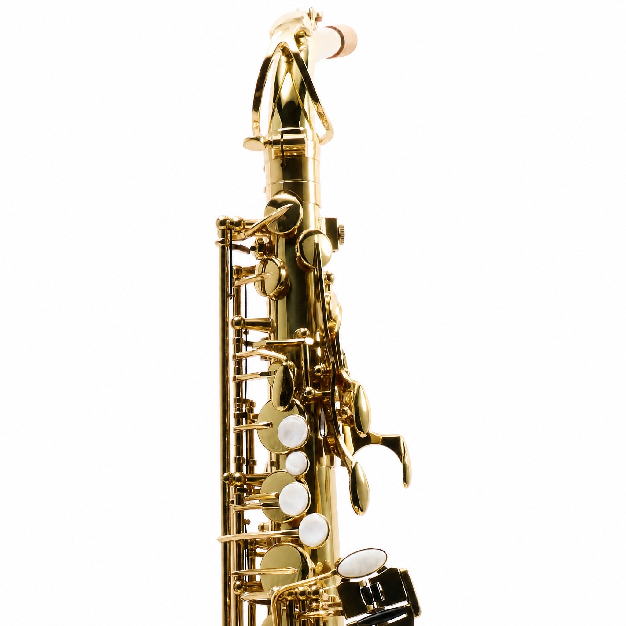 Eastman EAS451 Intermediate Alto Saxophone in Gold Lacquer