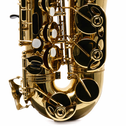 Eastman EAS451 Intermediate Eb Alto Saxophone in Gold Lacquer