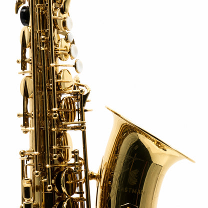 Eastman EAS451 Intermediate Eb Alto Saxophone in Gold Lacquer