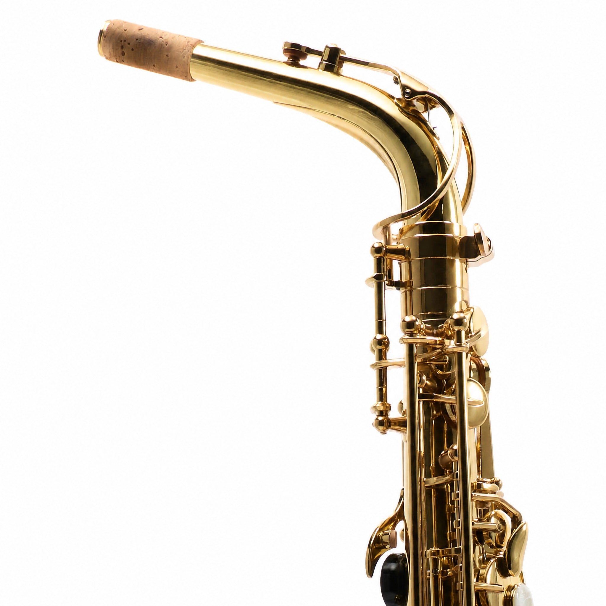 Eastman EAS451 Intermediate Eb Alto Saxophone in Gold Lacquer