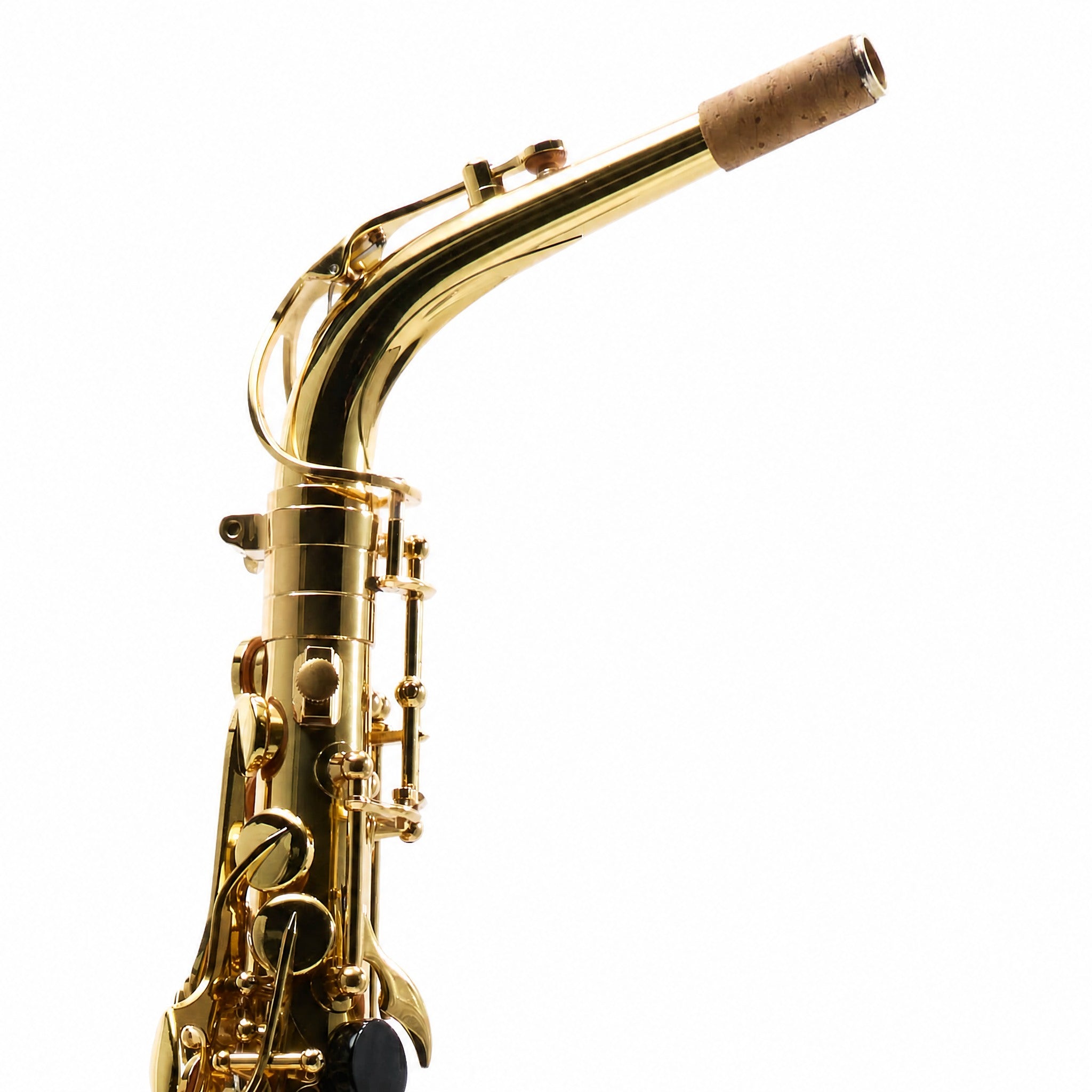 Eastman EAS451 Intermediate Eb Alto Saxophone in Gold Lacquer