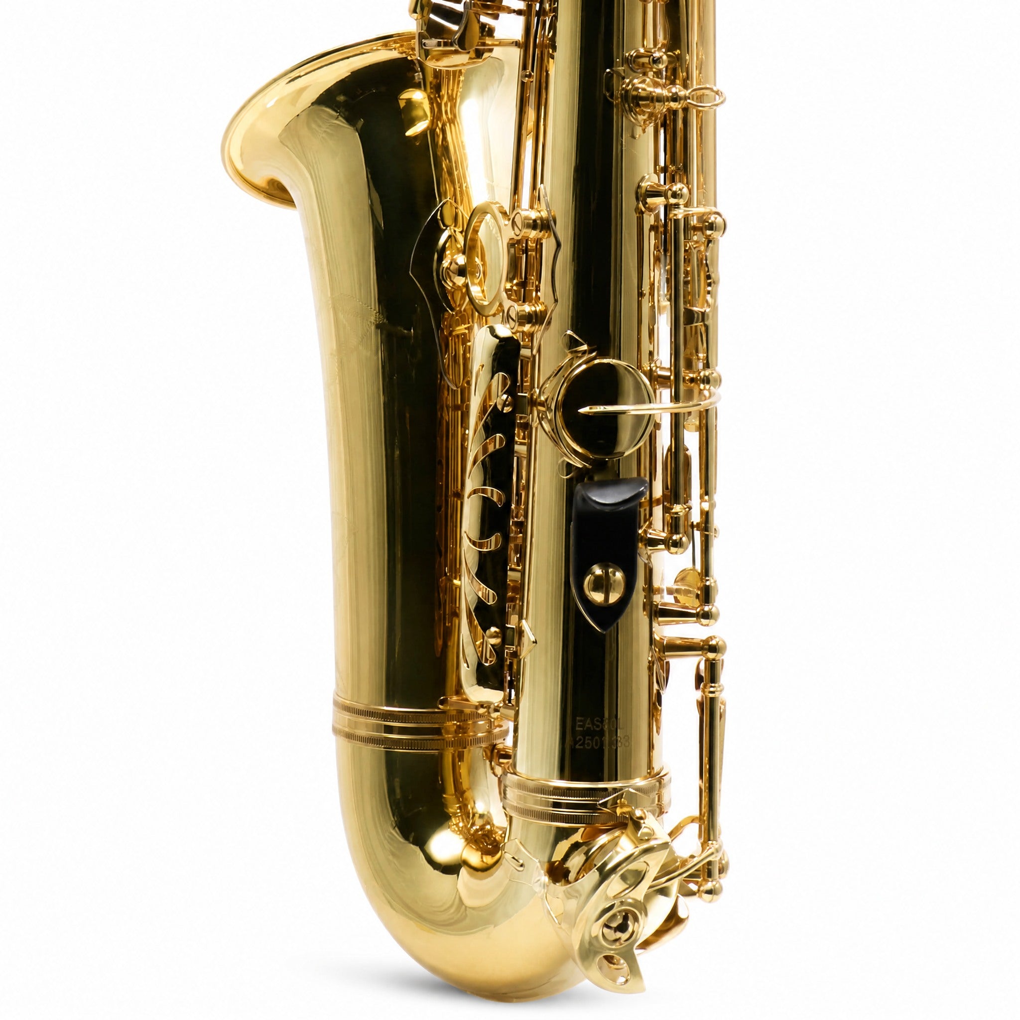 Eastman EAS451 Intermediate Eb Alto Saxophone in Gold Lacquer