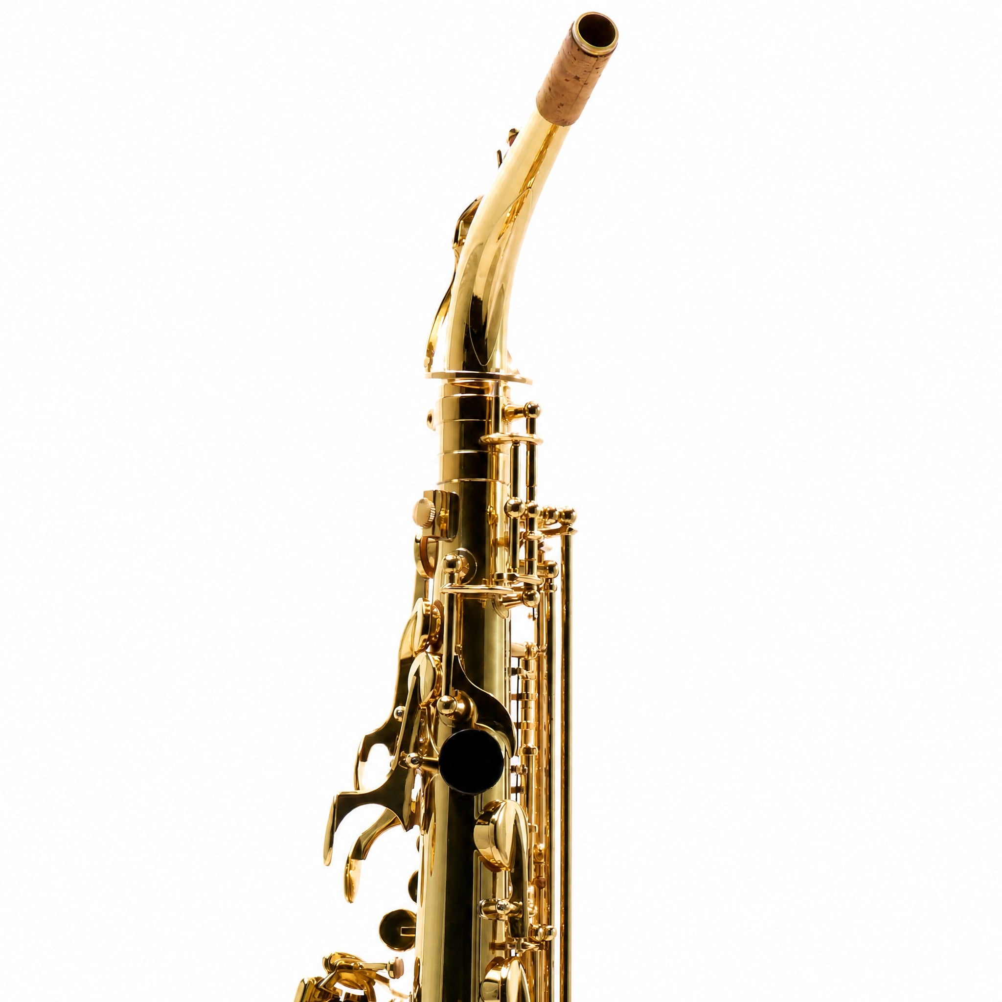 Eastman EAS451 Intermediate Eb Alto Saxophone in Gold Lacquer