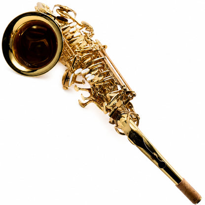 Eastman EAS451 Intermediate Eb Alto Saxophone in Gold Lacquer
