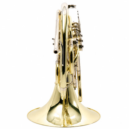 Yamaha YHR-668D Professional Double French Horn with Screw Bell