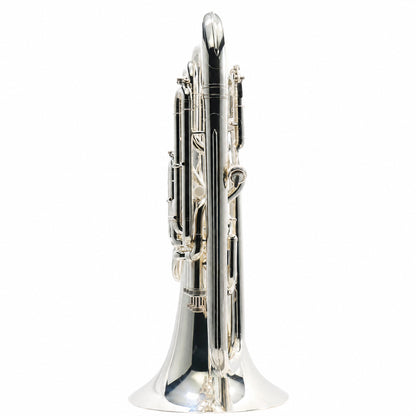 Willson 2950TA4/3S Professional Bb Compensating Euphonium in Silver Plate