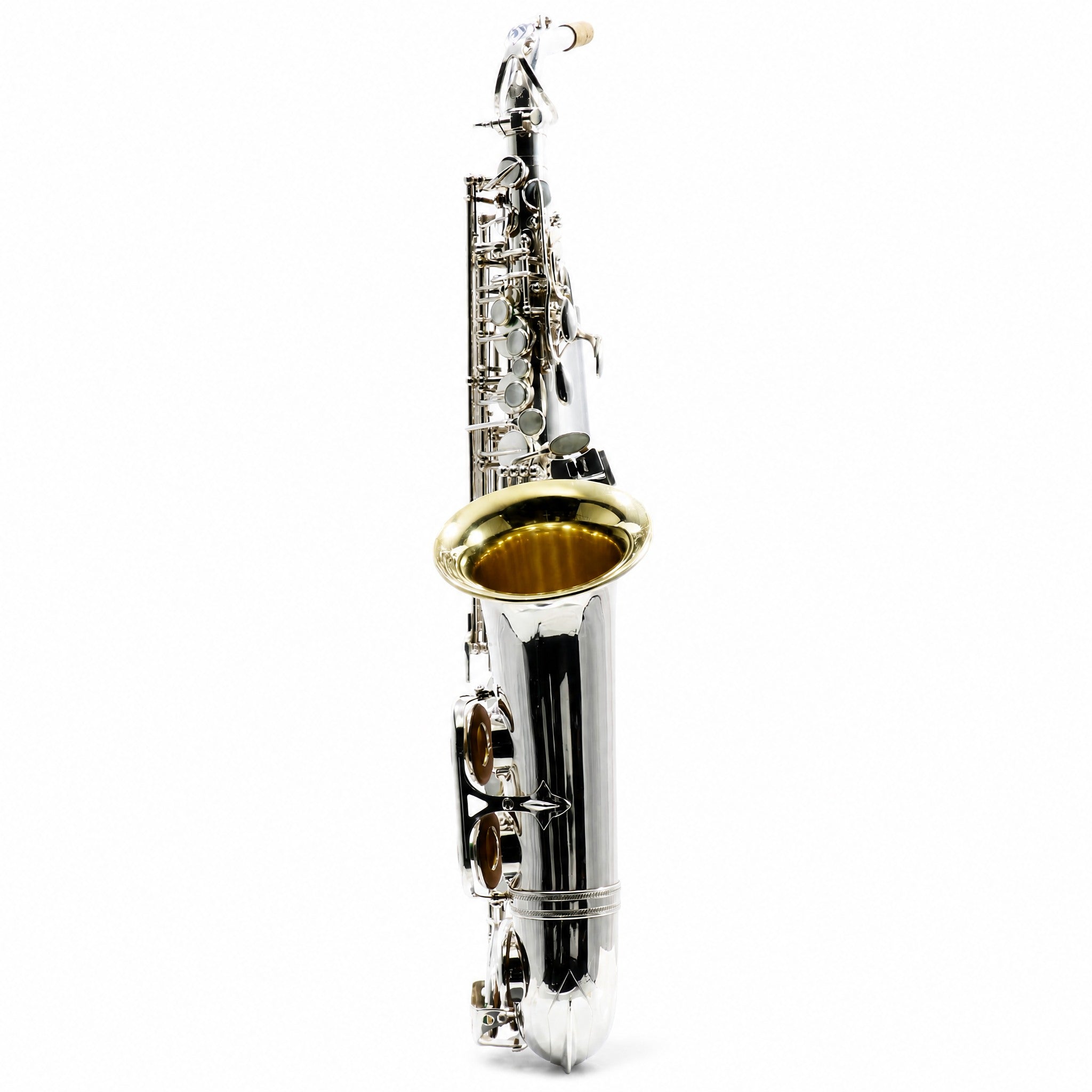 Selmer Paris Mark VI Professional Alto Saxophone in Silver Plate & Gold Wash Bell