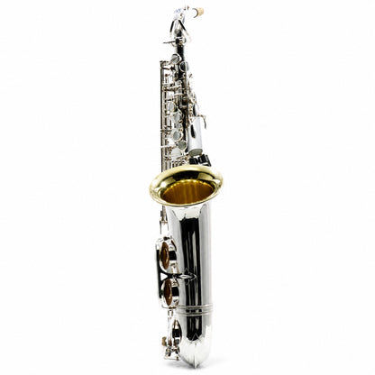 Selmer Paris Mark VI Professional Alto Saxophone in Silver Plate & Gold Wash Bell