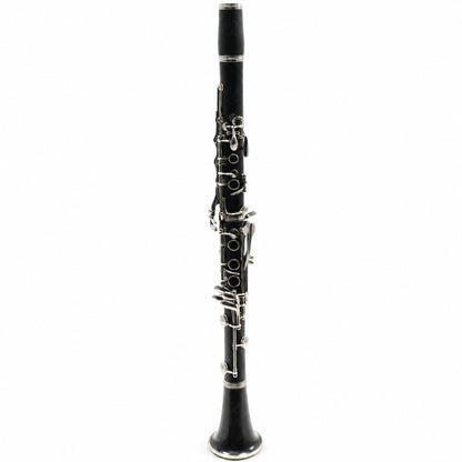 Buffet Crampon R13 Professional Bb Clarinet in Grenadilla