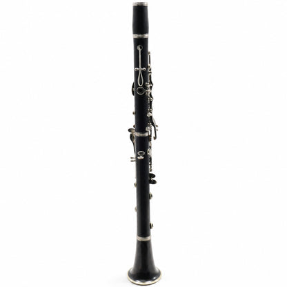 Buffet Crampon R13 Professional Bb Clarinet in Grenadilla