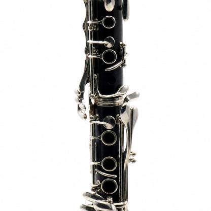 Buffet Crampon R13 Professional Bb Clarinet in Grenadilla