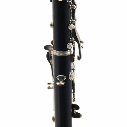 Buffet Crampon R13 Professional Bb Clarinet in Grenadilla
