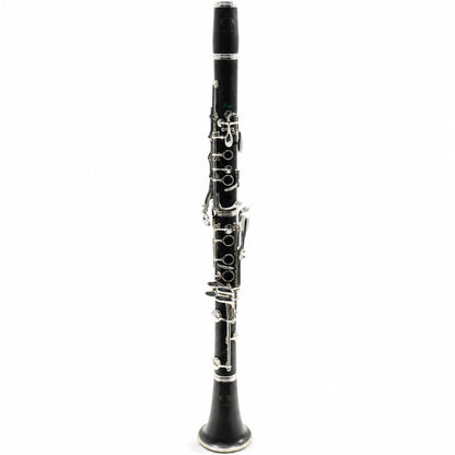 Buffet Crampon R13 'Greenline' Professional Bb Clarinet