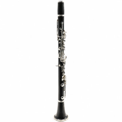 Buffet Crampon R13 'Greenline' Professional Bb Clarinet