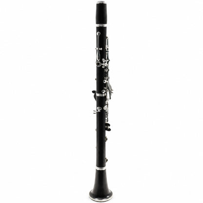 Buffet Crampon R13 'Greenline' Professional Bb Clarinet