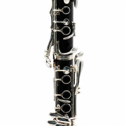 Buffet Crampon R13 'Greenline' Professional Bb Clarinet