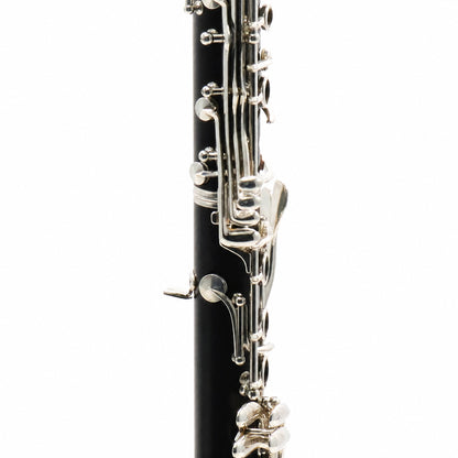 Buffet Crampon R13 'Greenline' Professional Bb Clarinet